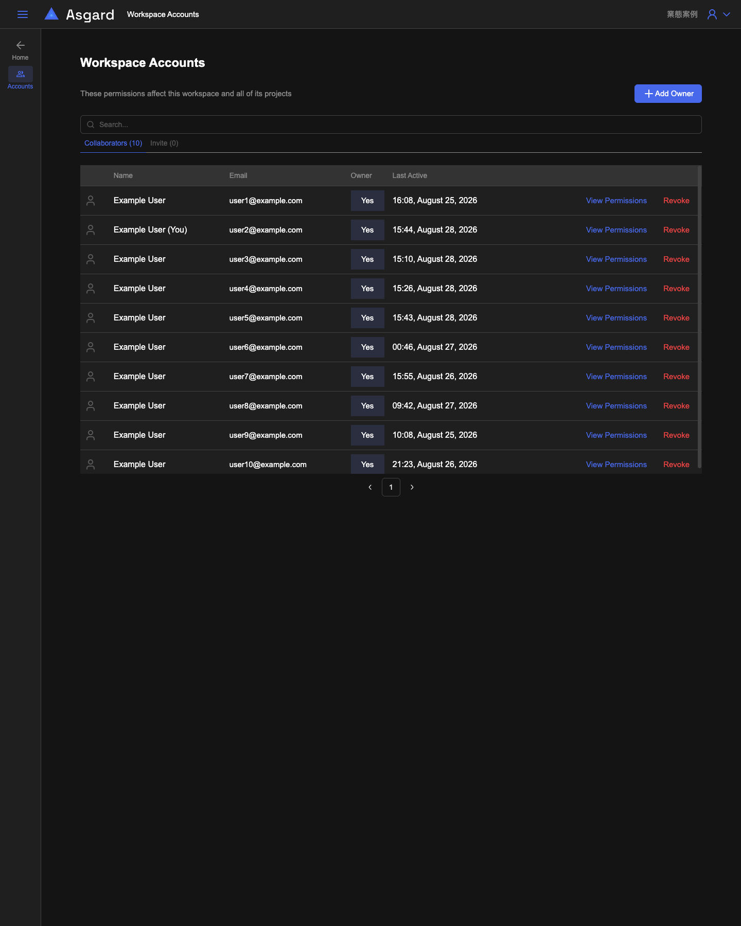 Workspace Accounts, showing the Collaborators tab, the Owner column, and the per-row View Permissions and Revoke actions