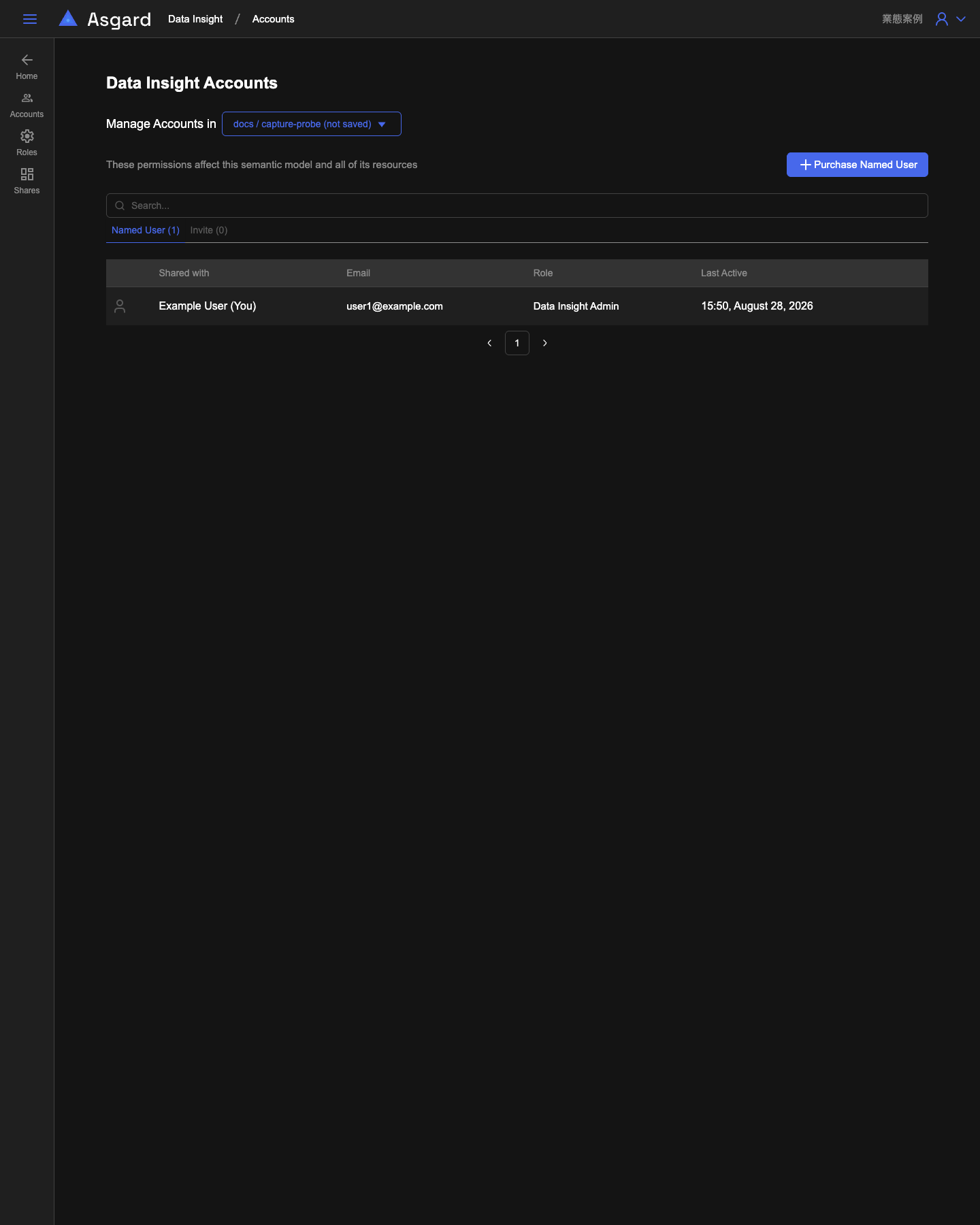 Data Insight Accounts:Manage Accounts in 選択メニュー、Purchase Named User、Shared with 列